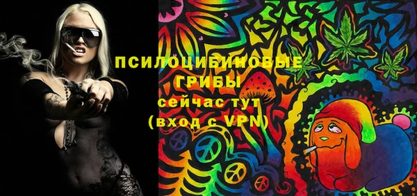 дмт Алексин